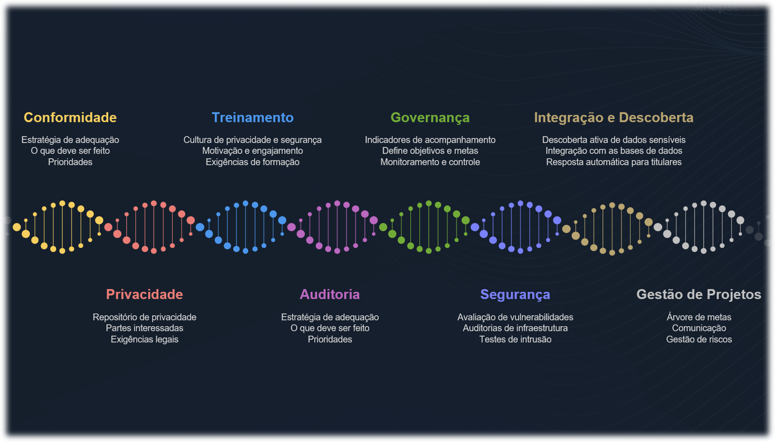 Sinapsetech DNA