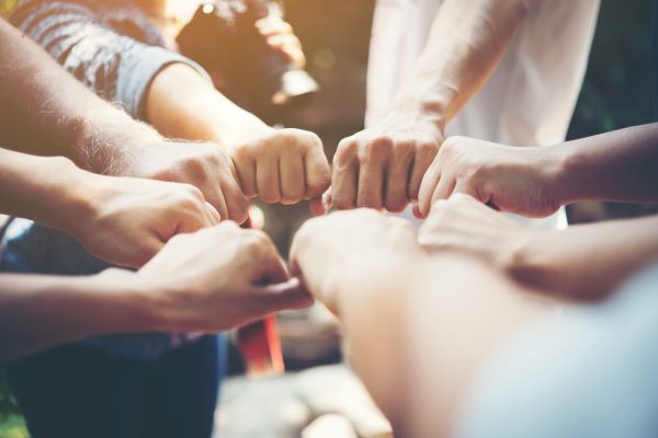 Colaboração e inovação na SinapseTech